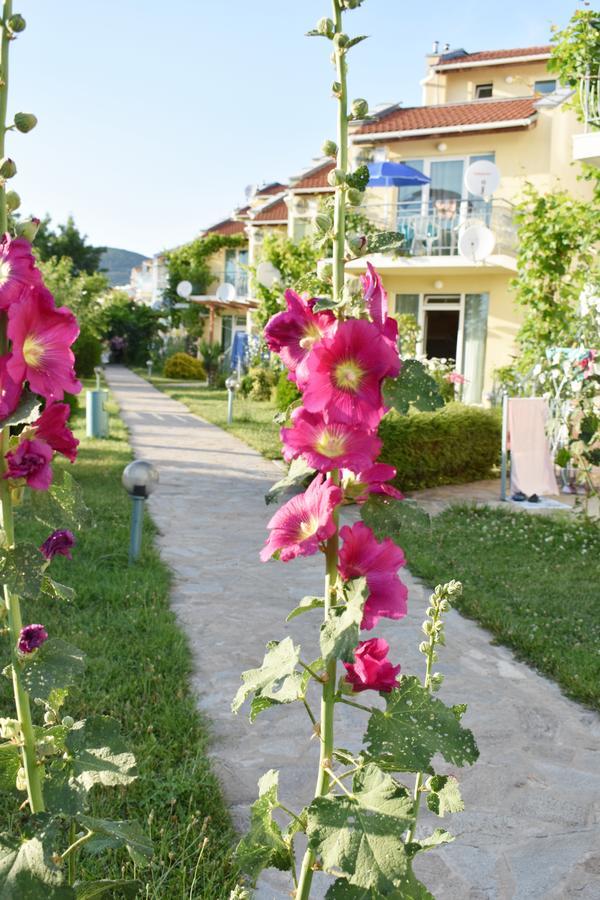 Nushev Hotel Sveti Vlas Esterno foto