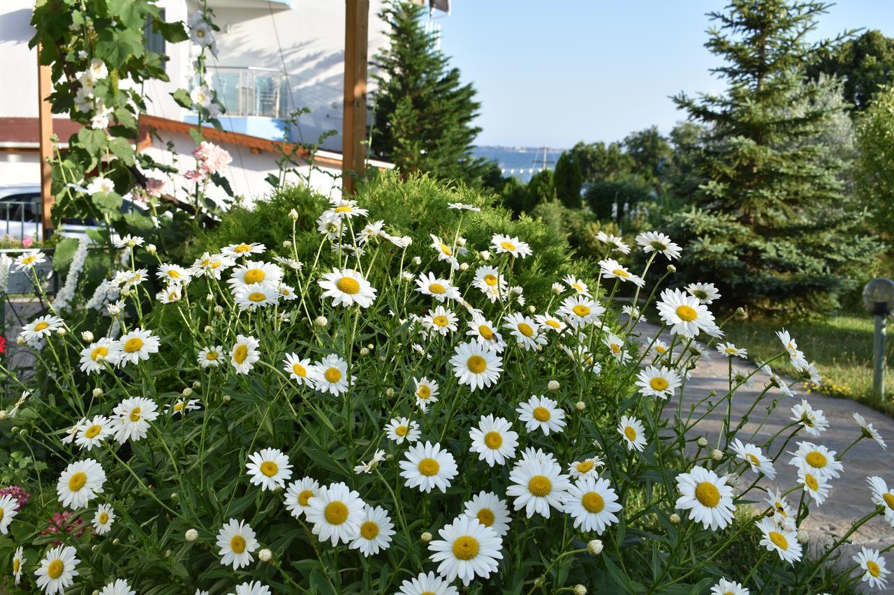 Nushev Hotel Sveti Vlas Esterno foto